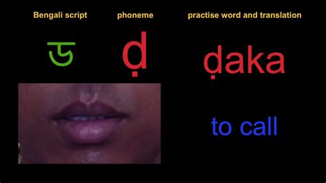 d&g site|ḍ pronunciation.